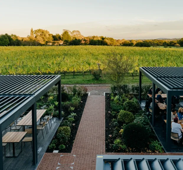 rows & vine at ridgeview wine estate