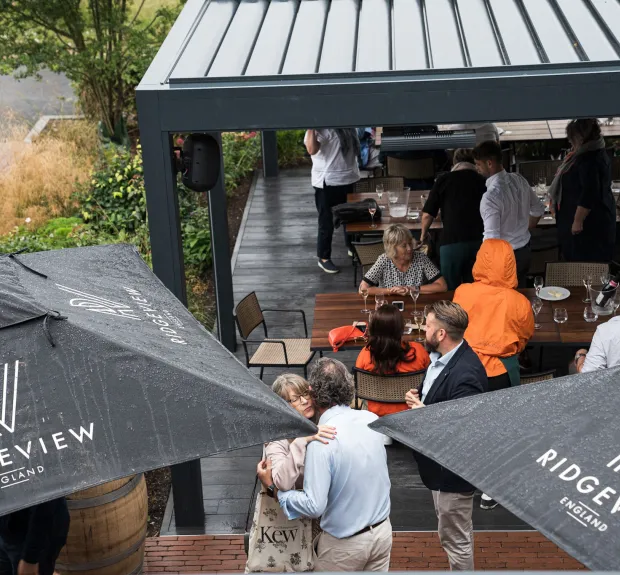 rows & vine at ridgeview wine estate